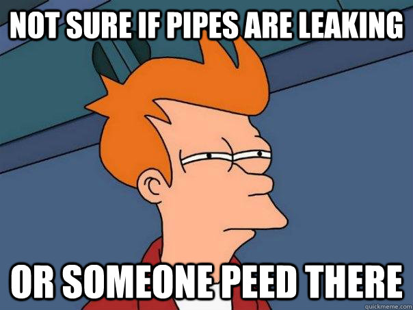 Not sure if pipes are leaking or someone peed there - Not sure if pipes are leaking or someone peed there  Futurama Fry