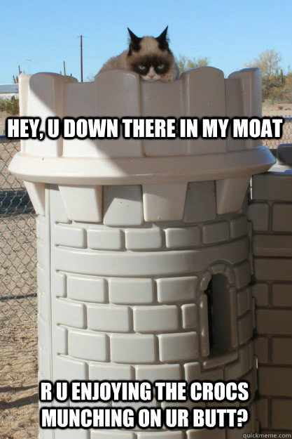 hey, u down there in my moat r u enjoying the crocs munching on ur butt? - hey, u down there in my moat r u enjoying the crocs munching on ur butt?  king grumpy cat