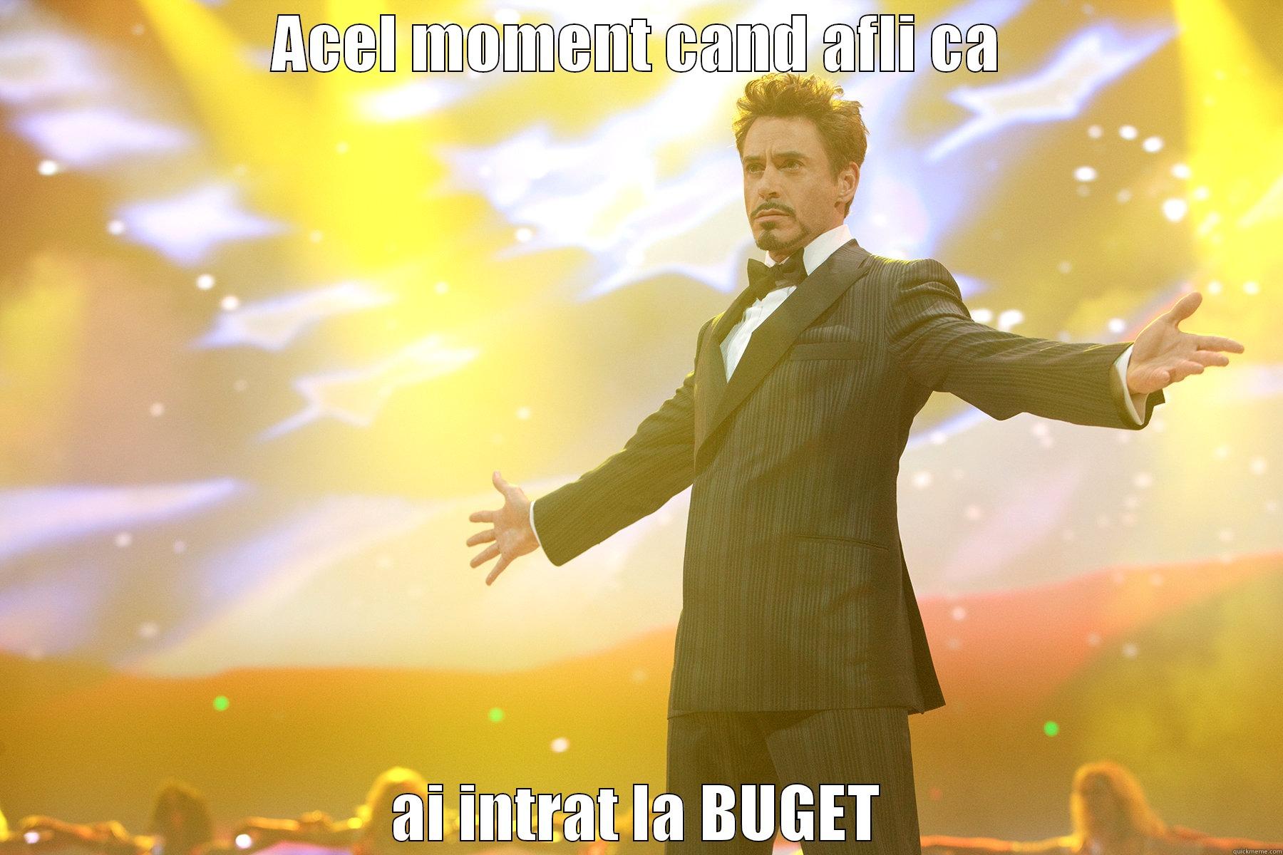 ACEL MOMENT CAND AFLI CA AI INTRAT LA BUGET Misc