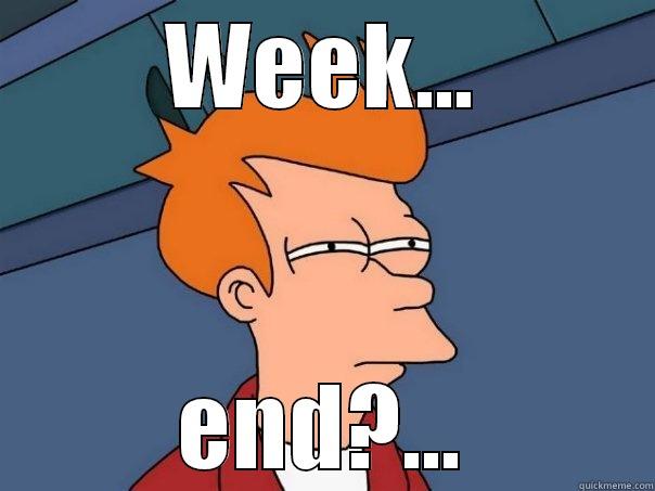 WEEK... END?... Futurama Fry