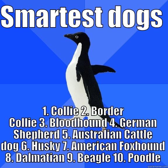 SMARTEST DOGS  1. COLLIE 2. BORDER COLLIE 3. BLOODHOUND 4. GERMAN SHEPHERD 5. AUSTRALIAN CATTLE DOG 6. HUSKY 7. AMERICAN FOXHOUND 8. DALMATIAN 9. BEAGLE 10. POODLE Socially Awkward Penguin