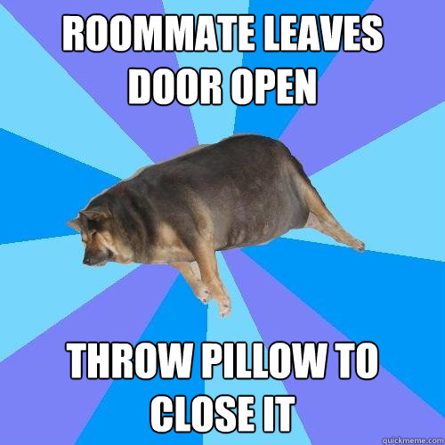 roommate leaves door open throw pillow to close it  Lazy college student