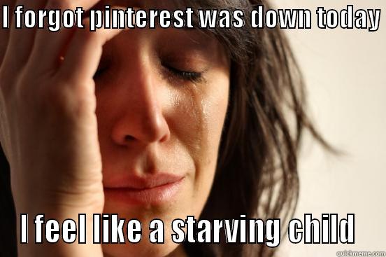 I FORGOT PINTEREST WAS DOWN TODAY  I FEEL LIKE A STARVING CHILD  First World Problems