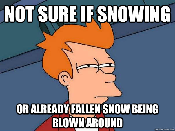 Not sure if snowing Or already fallen snow being blown around  Futurama Fry