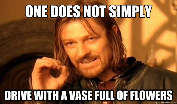 one does not simply Drive with a vase full of flowers  onedoesnotsimply