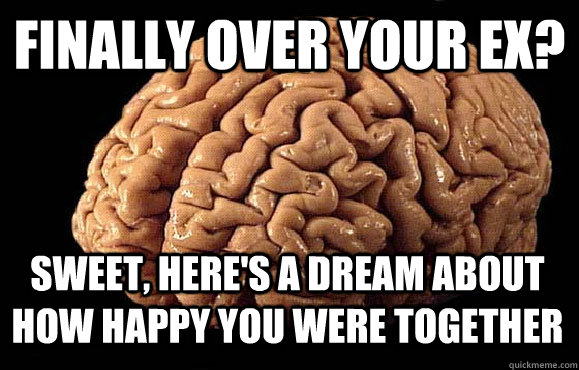 finally over your ex? sweet, here's a dream about how happy you were together  Asshole Brain