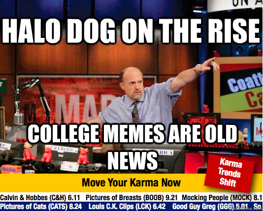 Halo dog on the rise college memes are old news - Halo dog on the rise college memes are old news  Mad Karma with Jim Cramer