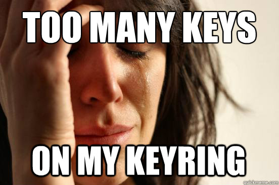 too many keys on my keyring - too many keys on my keyring  First World Problems