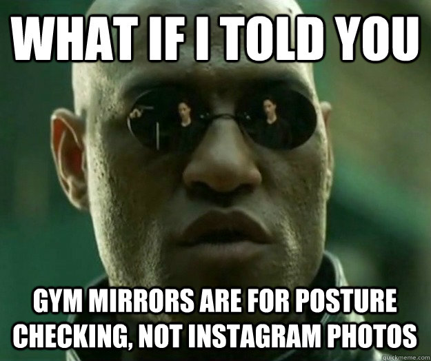 WHAT IF I TOLD YOU gym mirrors are for posture checking, not instagram photos - WHAT IF I TOLD YOU gym mirrors are for posture checking, not instagram photos  Misc