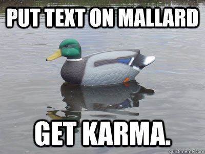 Put text on mallard Get Karma. - Put text on mallard Get Karma.  Karma Decoy