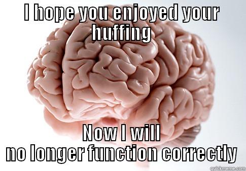 I HOPE YOU ENJOYED YOUR HUFFING NOW I WILL NO LONGER FUNCTION CORRECTLY Scumbag Brain