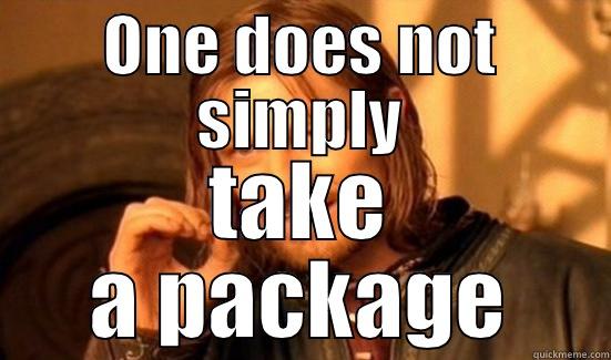 ONE DOES NOT SIMPLY TAKE A PACKAGE Boromir