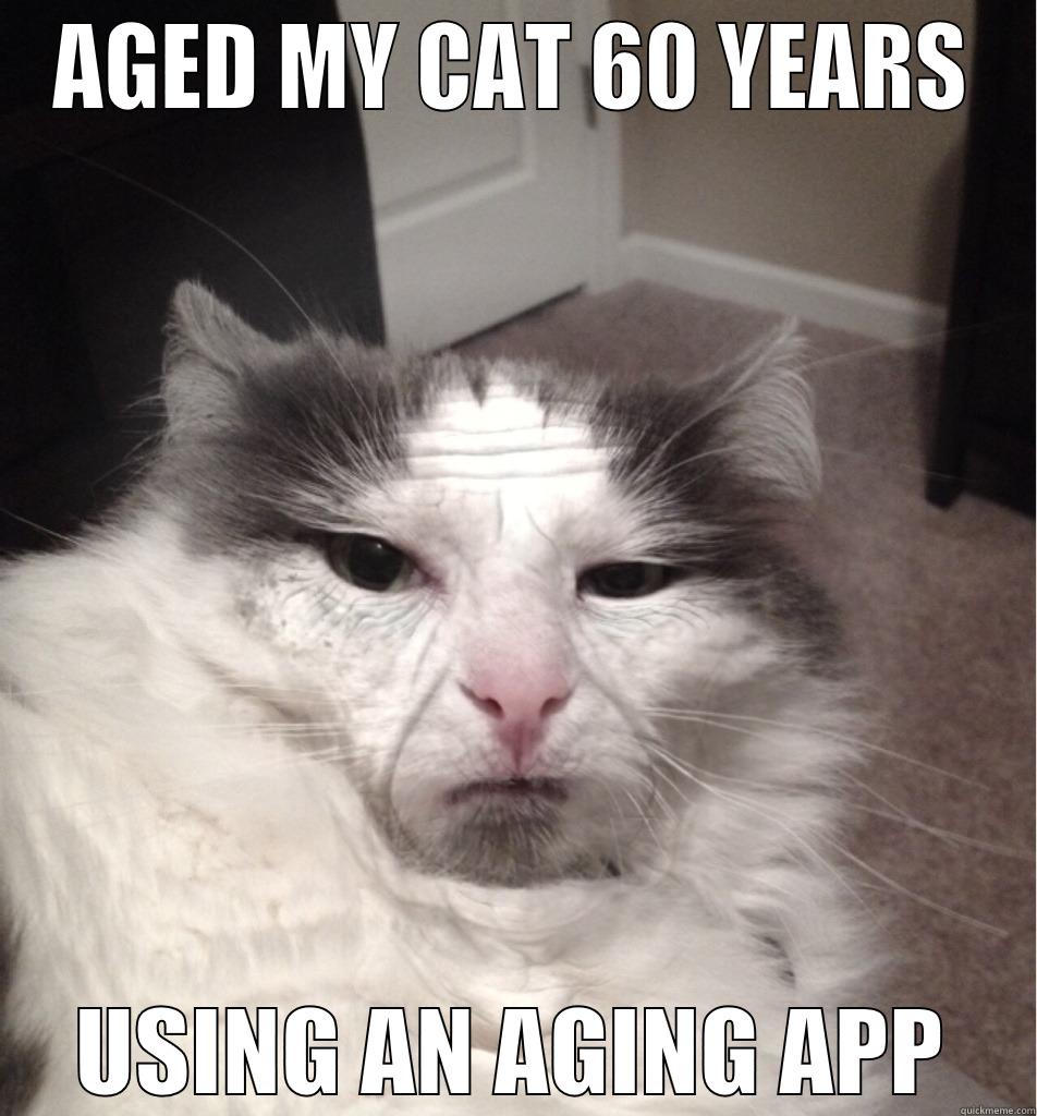 AGED MY CAT 60 YEARS USING AN AGING APP Misc