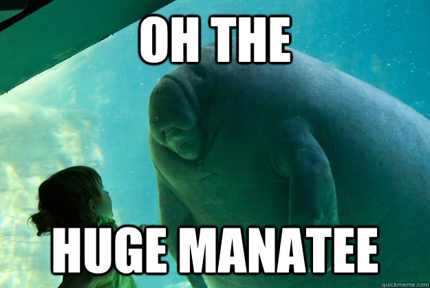 OH THE HUGE MANATEE  Overlord Manatee