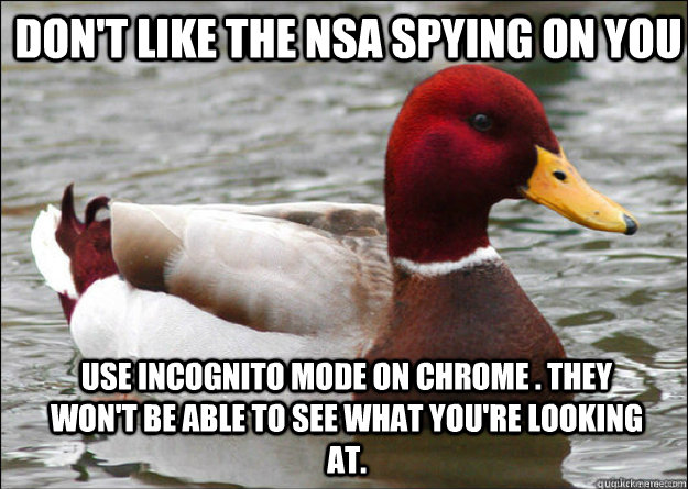 Don't like the NSA spying on you use incognito mode on chrome . they won't be able to see what you're looking at.  Malicious Advice Mallard