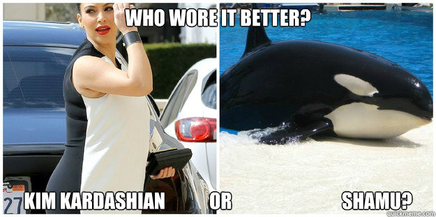Who wore it better? KIM KARDASHIAN            OR                              SHAMU? - Who wore it better? KIM KARDASHIAN            OR                              SHAMU?  Misc