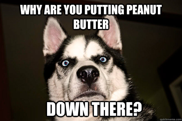 Why are you putting peanut butter Down there?  Disgusted Dog