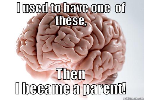 I USED TO HAVE ONE  OF THESE, THEN I BECAME A PARENT! Scumbag Brain