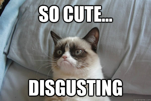 So Cute... disgusting - So Cute... disgusting  erynn grumpy cat