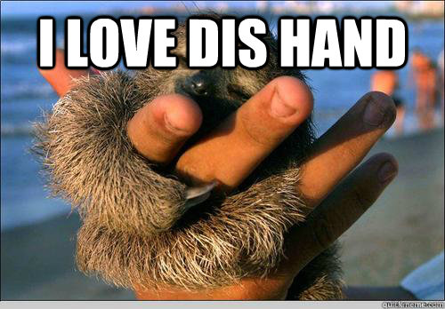 i love dis hand    cute baby sloth