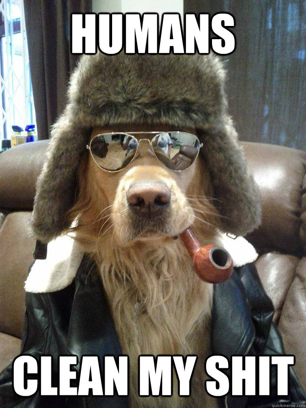 Humans clean my shit - Humans clean my shit  Suave Dog