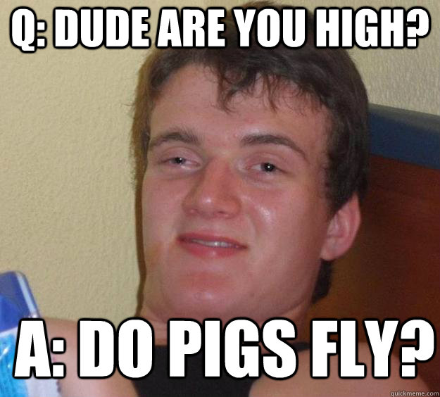 Q: Dude are you high? A: Do pigs fly?  - Q: Dude are you high? A: Do pigs fly?   10 Guy