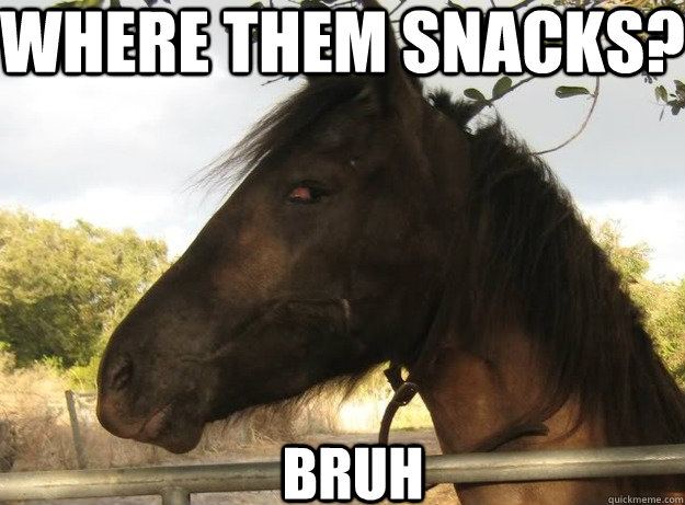 where them snacks? BRUH - where them snacks? BRUH  Skeptical Stoned Horse