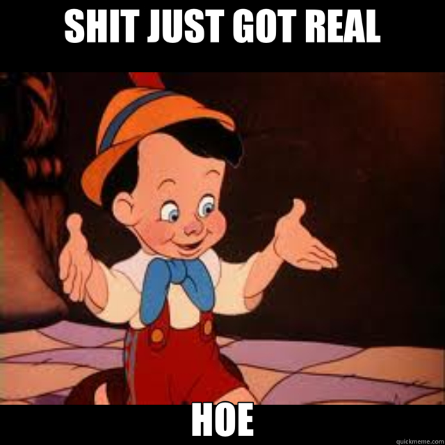 SHIT JUST GOT REAL HOE - SHIT JUST GOT REAL HOE  realboy pinochio