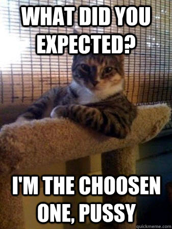 what did you expected? i'm the choosen one, pussy  The Most Interesting Cat in the World