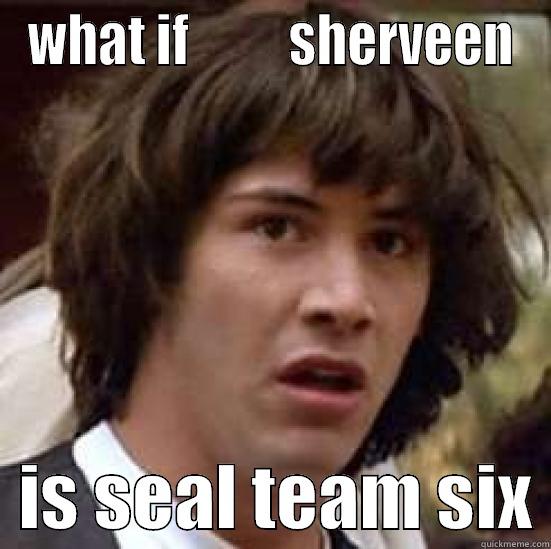 WHAT IF          SHERVEEN   IS SEAL TEAM SIX conspiracy keanu