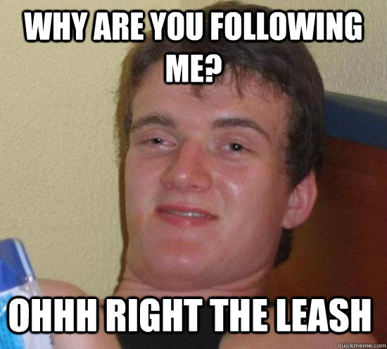 why are you following me? ohhh right the leash  
