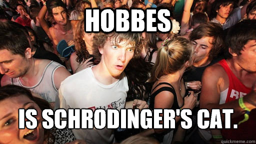 hobbes Is Schrodinger's cat.  Sudden Clarity Clarence