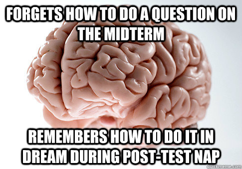 Forgets how to do a question on the midterm remembers how to do it in dream during post-test nap - Forgets how to do a question on the midterm remembers how to do it in dream during post-test nap  Scumbag Brain