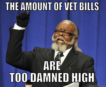 THE AMOUNT OF VET BILLS ARE TOO DAMNED HIGH Too Damn High