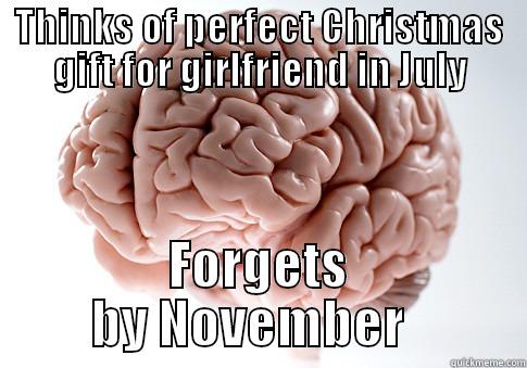 THINKS OF PERFECT CHRISTMAS GIFT FOR GIRLFRIEND IN JULY FORGETS BY NOVEMBER   Scumbag Brain