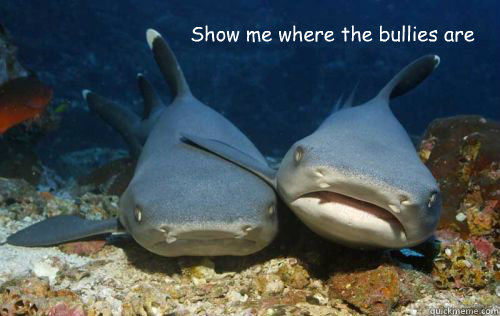 Show me where the bullies are  Compassionate Shark Friend