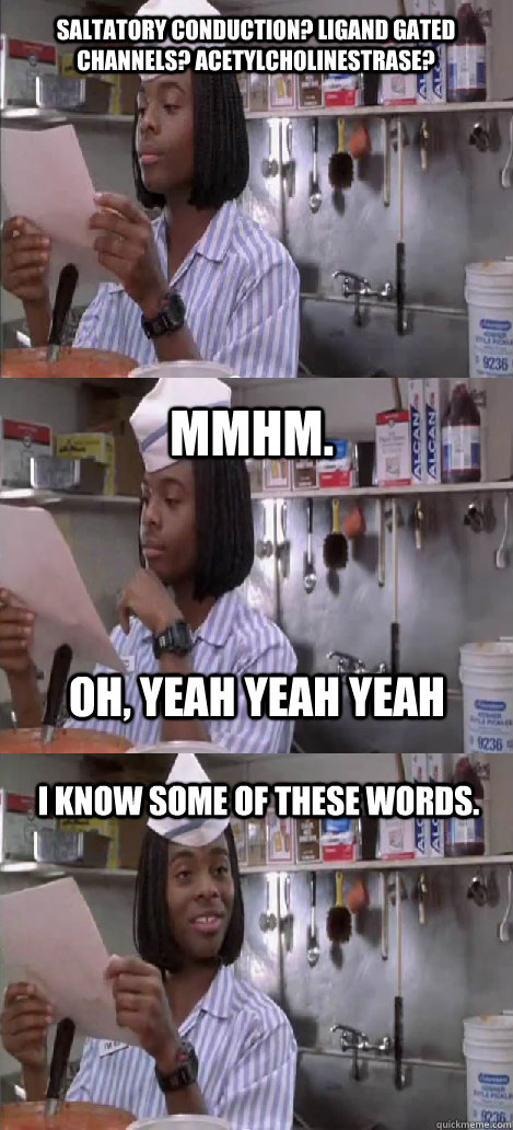 saltatory conduction? ligand gated channels? acetylcholinestrase? mmhm.  I know some of these words. oh, yeah yeah yeah  Oblivious Good Burger