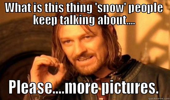 WHAT IS THIS THING 'SNOW' PEOPLE KEEP TALKING ABOUT.... PLEASE....MORE PICTURES. Boromir