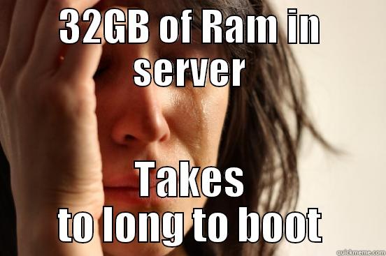 32GB OF RAM IN SERVER TAKES TO LONG TO BOOT First World Problems