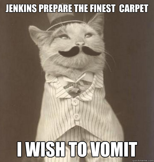 jenkins prepare the finest  carpet i wish to vomit  Fancy Cat