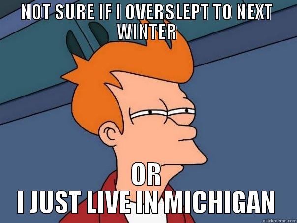 MICHIGAN SPRING - NOT SURE IF I OVERSLEPT TO NEXT WINTER OR I JUST LIVE IN MICHIGAN Futurama Fry