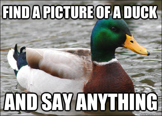 Find a picture of a duck And say Anything  Actual Advice Mallard