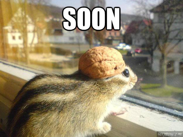 soon   Adventure Chipmunk