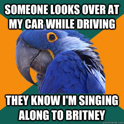 Someone looks over at my car while driving They know I'm singing along to Britney  Paranoid Parrot