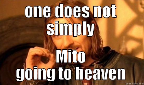 ONE DOES NOT SIMPLY MITO GOING TO HEAVEN Boromir