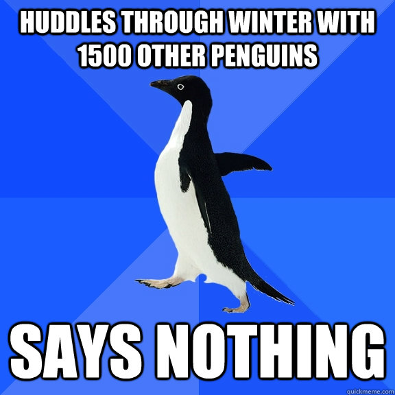 huddles through winter with 1500 other penguins says nothing  Socially Awkward Penguin