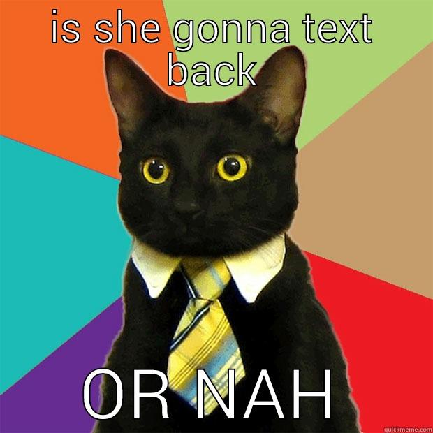 IS SHE GONNA TEXT BACK OR NAH Business Cat