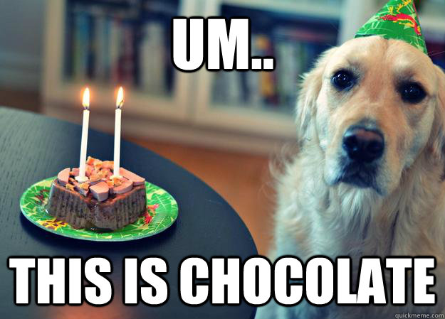 um.. this is chocolate  Sad Birthday Dog