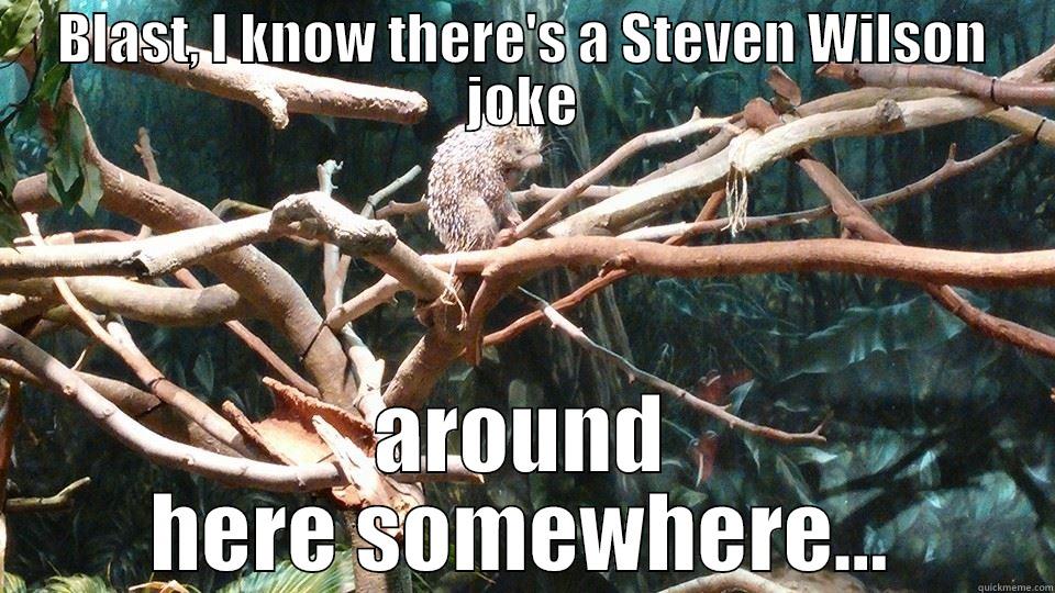 BLAST, I KNOW THERE'S A STEVEN WILSON JOKE AROUND HERE SOMEWHERE... Misc