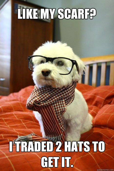 Like my scarf? I traded 2 hats to get it.  Hipster pup